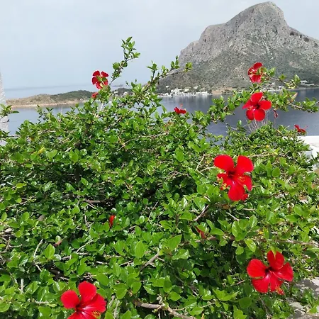 Lejlighed On Sight L Myrties