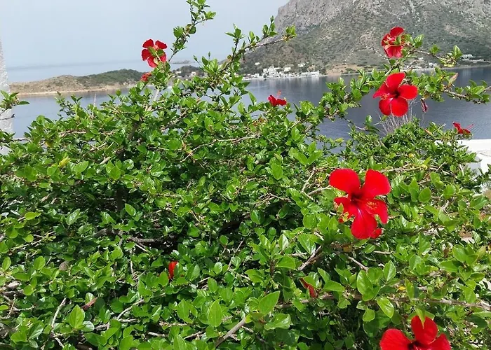 Daire On Sight L Myrties